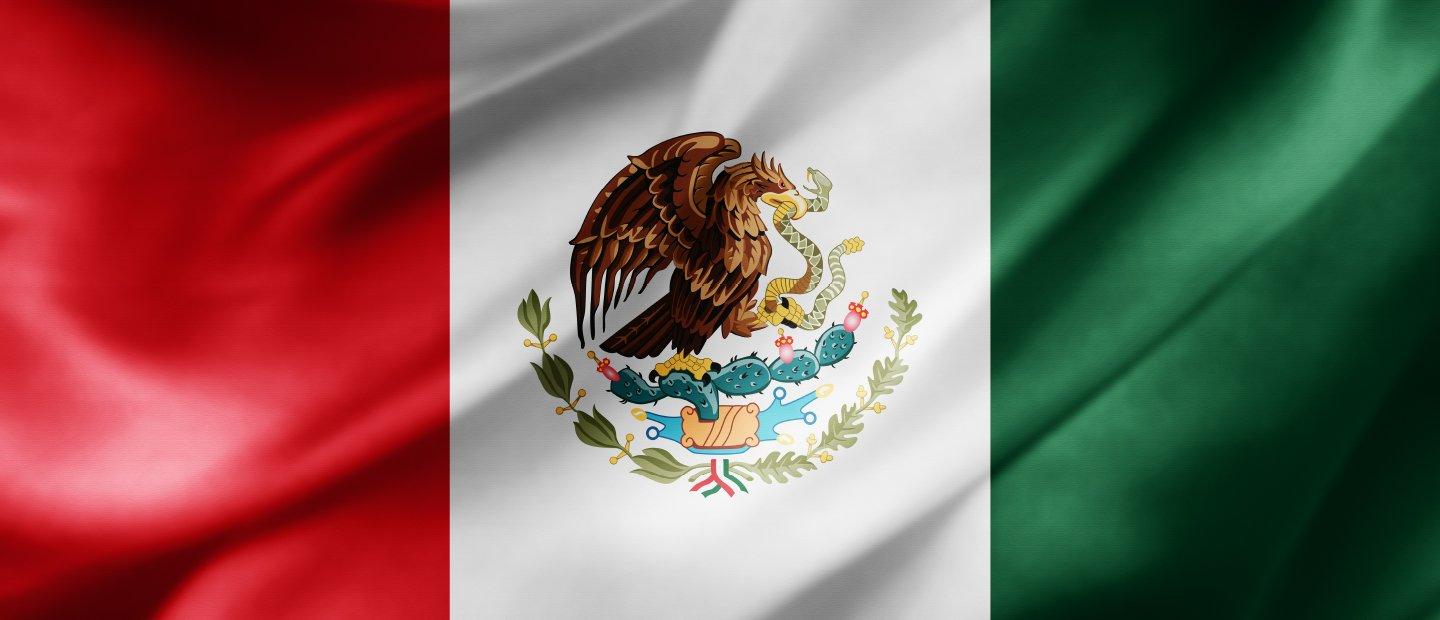 Mexican flag, 一只叼着蛇的鹰栖息在白色背景中间的仙人掌上, 绿色部分在左边, 右边的红色区域
